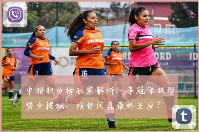 中超积分榜独家解析：争冠保级形势全揭秘，谁将问鼎最终王座？